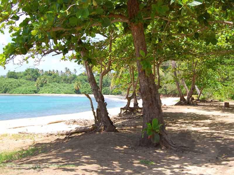 Calibishie Cove Hotel Ngoại thất bức ảnh